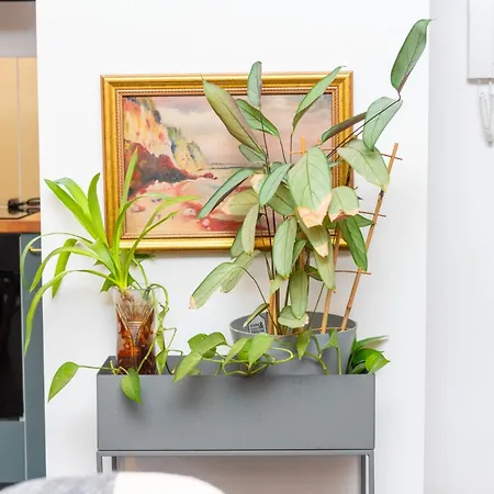 Apartman Magnolia Happy